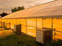 Fans for Agriculture